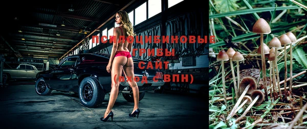 стафф Абаза