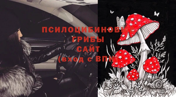 дурь Алексеевка