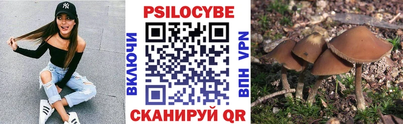Псилоцибиновые грибы MAGIC MUSHROOMS  Сухиничи 